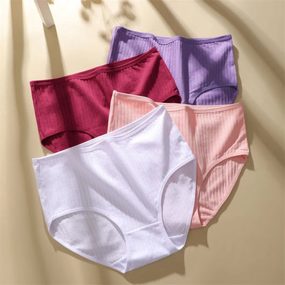 6 Peças Calcinha HotPant Canelada